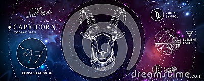 Modern magic witchcraft card with astrology Capricorn zodiac sign. Realistic hand drawing ram or mouflon head. Vector Illustration