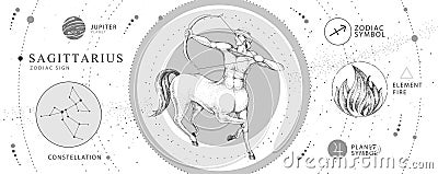 Modern magic witchcraft card with astrology Sagittarius zodiac sign. Realistic hand drawing centaur with Bow and arrow. Vector Illustration