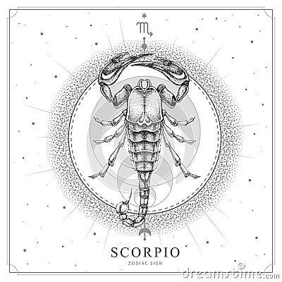 Modern magic witchcraft card with astrology Scorpio zodiac sign. Realistic hand drawing scorpion illustration Vector Illustration