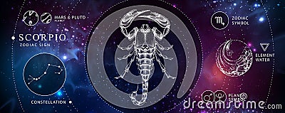 Modern magic witchcraft card with astrology Scorpio zodiac sign. Realistic hand drawing scorpion illustration. Vector Illustration