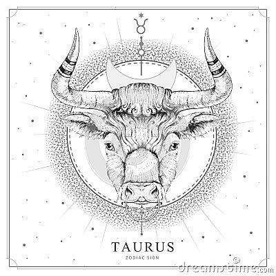 Modern magic witchcraft card with astrology Taurus zodiac sign. Realistic hand drawing bull head Vector Illustration