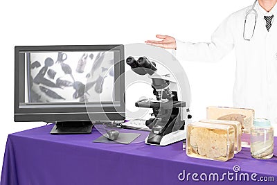 Modern microscope with a doctor with liver fluke Stock Photo