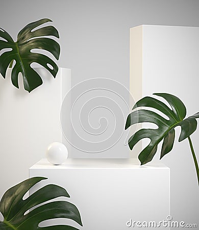 Modern Minimal Mockup Beauty White Display With Monstera Tropic Plant Abstract Background 3d Render Stock Photo