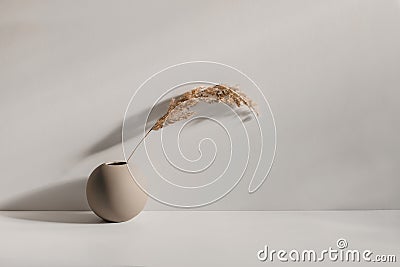 Modern minimal still life scene. Beige ball shaped vase with dry festuca grass. Table background an champagne wall in Stock Photo