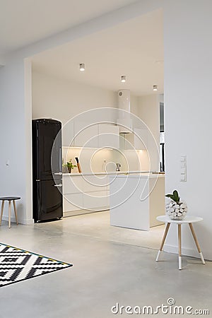 Modern minimalist kitchen in spacious house Stock Photo