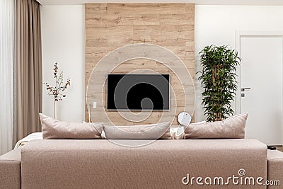 Modern minimalistic luxury apartment with couch and pillows and flat-screen lcd TV on the wooden wall, vase and plant Stock Photo