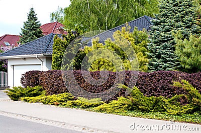 Modern private house with lush garden Stock Photo