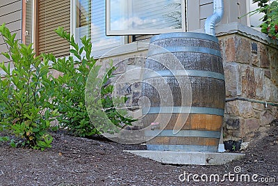 Modern Rain Barrel Stock Photo