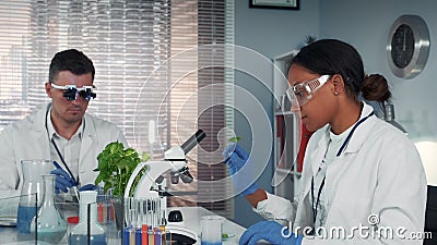 In modern research laboratory black female scientist looking at organic material under microscope Stock Photo