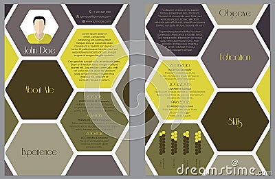 Modern resume design with hexagon theme Vector Illustration