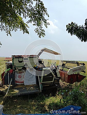 Modern rice harvesting tools are starting to replace traditional tools Editorial Stock Photo