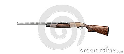 A modern semi-automatic shotgun with a wooden stock. Guns in bronze color for hunting and sport. Isolate on a white back Stock Photo