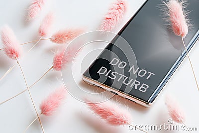 Modern smartphone with the inscription do not disturb and pink dried flowers on a white background. Concept of rest, solitude and Stock Photo