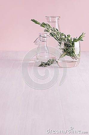 Modern soft light pink pastel home interior with green plant on white wood background. Stock Photo