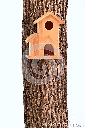 Modern starling-house on tree trunk isolated Stock Photo