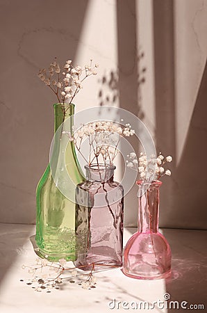 Modern still life with a glass vases and decorative gypsophila flowers. Stock Photo