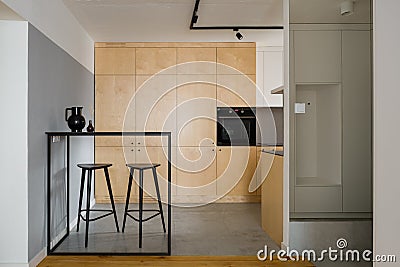 Modern style kitchen with plywood cupboards Stock Photo