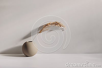 Modern summer, fall still life photo. Beige ball shaped vase with dry festuca grass in sunlight with long shadows. Beige Stock Photo