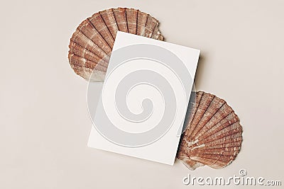 Modern summer stationery still life. Blank vertical greeting card, invitation mock up scene with pink oyster sea shells Stock Photo