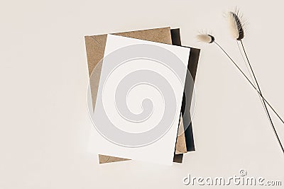 Modern summer stationery still life. Lagurus ovatus grassy foliage, craft envelope and long shadows. Blank greeting card Stock Photo