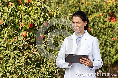 Modern tech for harvest control on eco-fruit orchard, positive human emotion Stock Photo