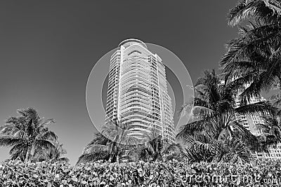 Modern towerblocks bottom view on blue sky with palms and hedge in South Beach, USA Stock Photo