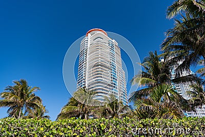 Modern towerblocks bottom view on blue sky with palms and hedge in South Beach, USA Stock Photo