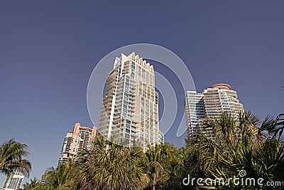 Modern towerblocks high-rise buildings architecture and palms on blue sky in South Beach, USA Stock Photo