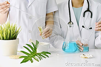 Modern and traditional medical, Alternative organic herbal drug and chemical medicine, Doctor mixing extraction for new pharmacy. Stock Photo