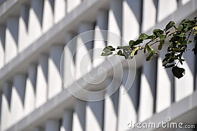 modern white building exterior symetric windows in a row modern architecture Stock Photo