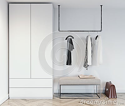 modern white and metal open style wardrobe with women clothes hanging on pipe rail in walk in closet, interior design Stock Photo