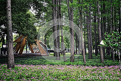 wooden pavilion Stock Photo