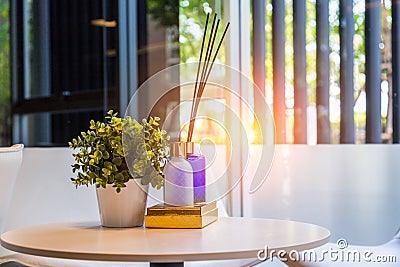 Modern workplace with tree pot and reed freshener on wooden table Stock Photo