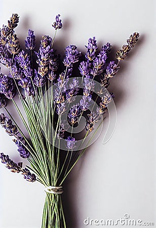Modest lavender dried flowers bouquet against beige wall. Stock Photo