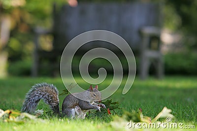 Mohonk Nature USA Stock Photo