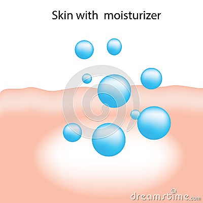 Moisturizer absorbation Vector Illustration