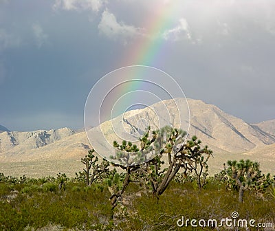 Mojave Sunshine Rainbow Stock Photo