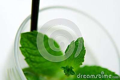 Mojito Cocktail Stock Photo