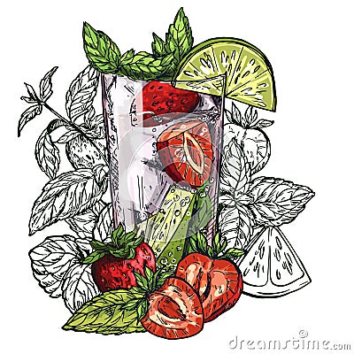 Mojito cocktail, strawberry Vector Illustration