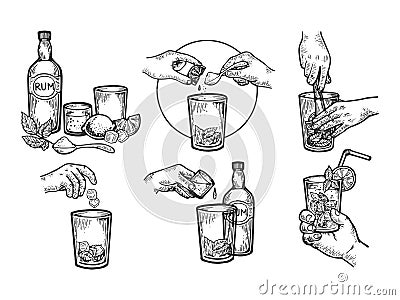 Mojito drink creation instructions engraving Vector Illustration