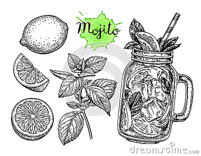 Mojito drink and ingredients Vector Illustration