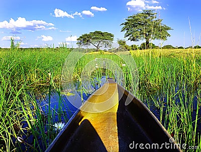 Mokoro canoe trip Stock Photo