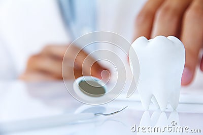 Molar,dental concept Stock Photo