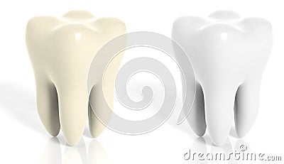 Molar teeth white and yellow Stock Photo