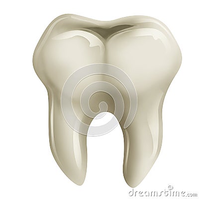 Molar tooth Cartoon Illustration