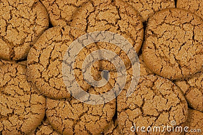 Molasses Cookies Stock Photo