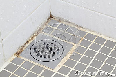 Mold in Bathroom Stock Photo