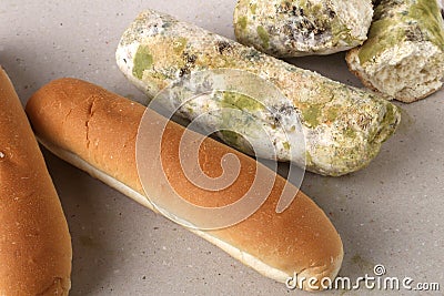 Mold on bread. Best before date has expired a long time ago with this moldy food. Space for text. Stock Photo