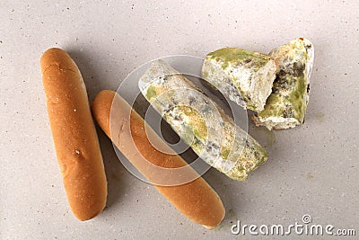 Mold on bread. Best before date has expired a long time ago with this moldy food. Space for text. Stock Photo