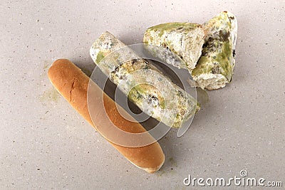 Mold on bread. Best before date has expired a long time ago with this moldy food. Space for text. Stock Photo